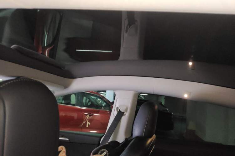 Used Tesla Model Y 2021 Long-Range All-Wheel-Drive Version Headliner