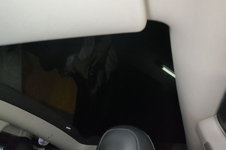 Used Tesla Model Y 2021 Long-Range All-Wheel-Drive Version Headliner