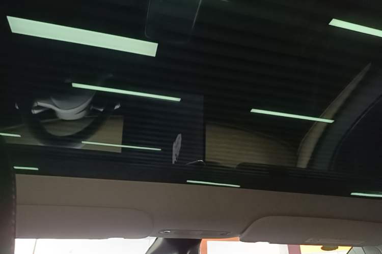 Used Tesla Model Y 2021 Standard Range Rear-Wheel Drive Version Headliner