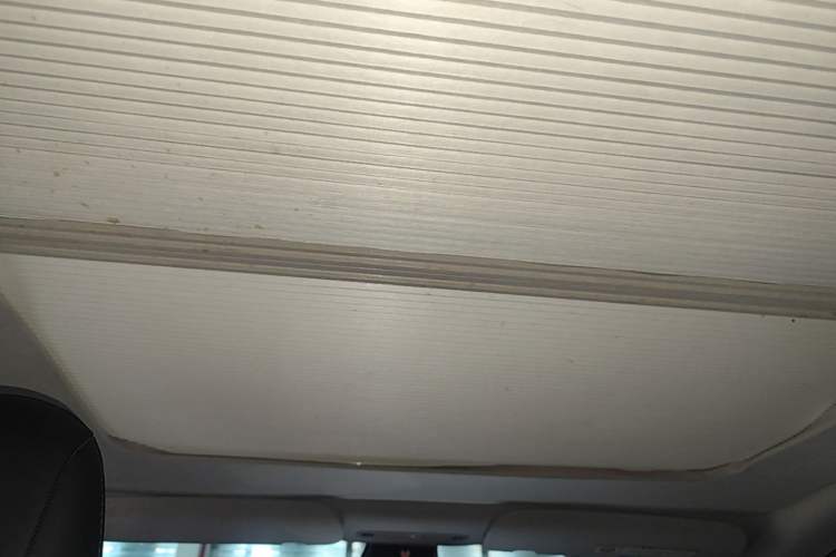 Used Tesla Model Y 2021 Standard Range Rear-Wheel Drive Version Headliner