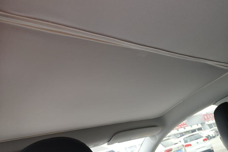 Used Tesla Model Y 2021 Standard Range Rear-Wheel Drive Version Headliner