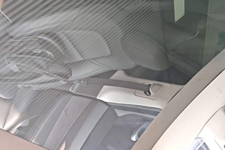 Used Tesla Model Y 2021 Long-Range All-Wheel-Drive Version Headliner