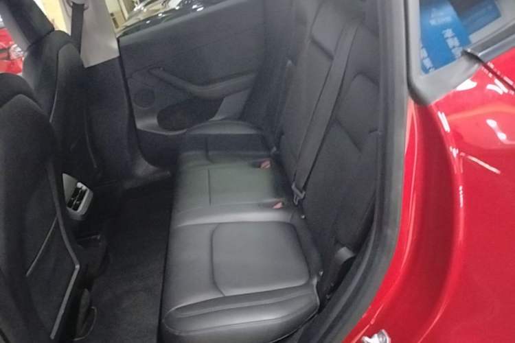 Used Tesla Model Y 2021 Standard Range Rear-Wheel Drive Version Left Rear Seat