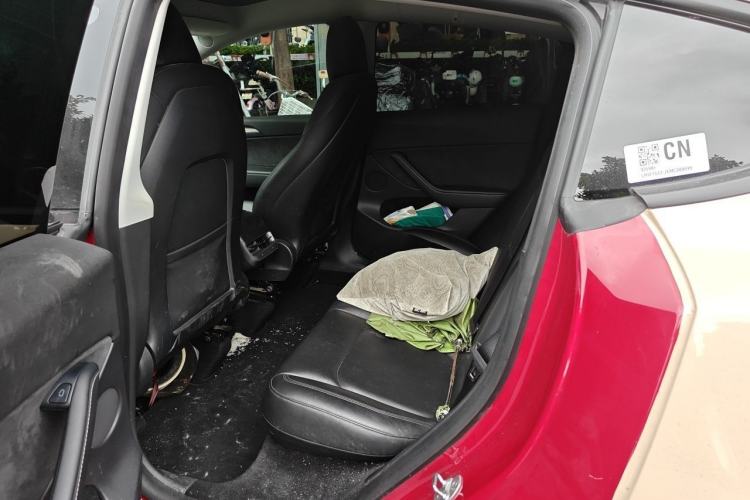 Used Tesla Model Y 2021 Standard Range Rear-Wheel Drive Version Left Rear Seat