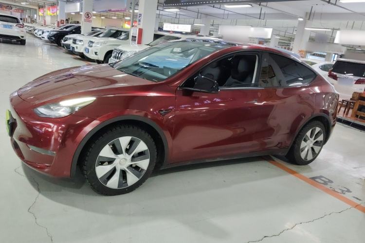 Used Tesla Model Y 2021 Long-Range All-Wheel-Drive Version Left Side
