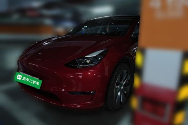 Tesla Model Y 2021 Standard Range Rear-Wheel Drive Version de segunda mano