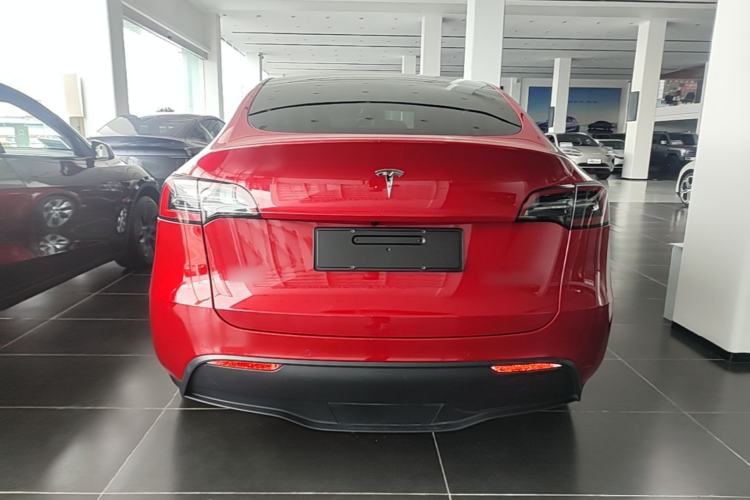 Used Tesla Model Y 2021 Standard Range Rear-Wheel Drive Version Rear