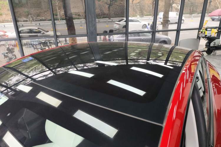 Used Tesla Model Y 2021 Performance High-Performance All-Wheel-Drive Version Roof