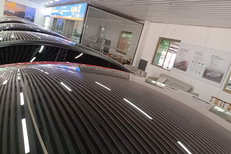 Used Tesla Model Y 2021 Standard Range Rear-Wheel Drive Version Roof