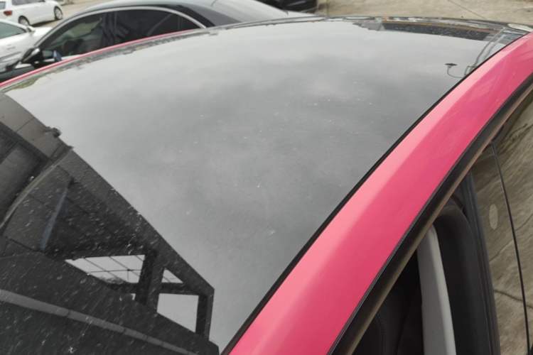 Used Tesla Model Y 2021 Performance High-Performance All-Wheel-Drive Version Roof