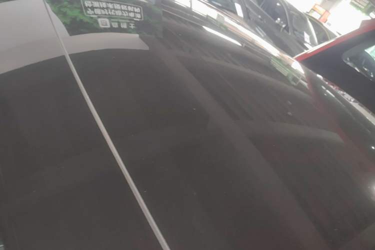 Used Tesla Model Y 2021 Long-Range All-Wheel-Drive Version Roof