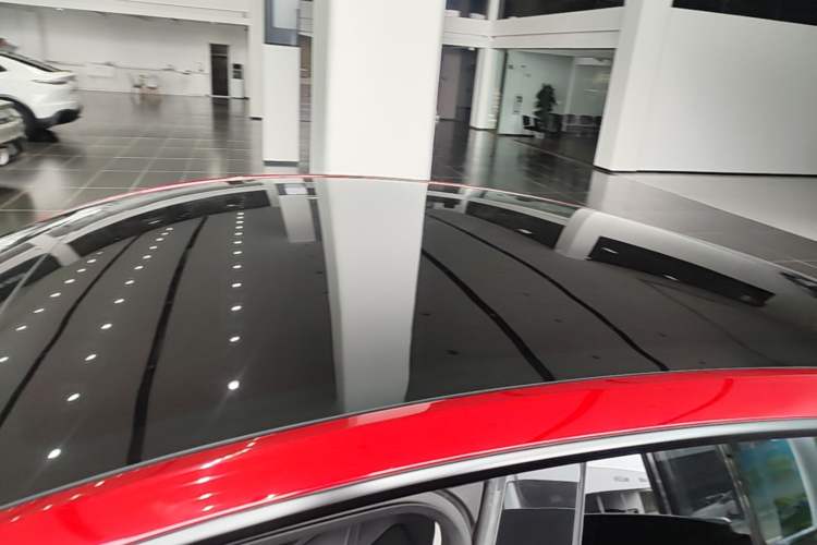Used Tesla Model Y 2021 Standard Range Rear-Wheel Drive Version Roof