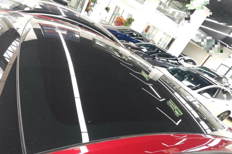 Used Tesla Model Y 2021 Standard Range Rear-Wheel Drive Version Roof
