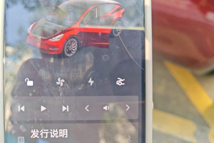 Used Tesla Model Y 2021 Performance High-Performance All-Wheel-Drive Version Vehicle Key