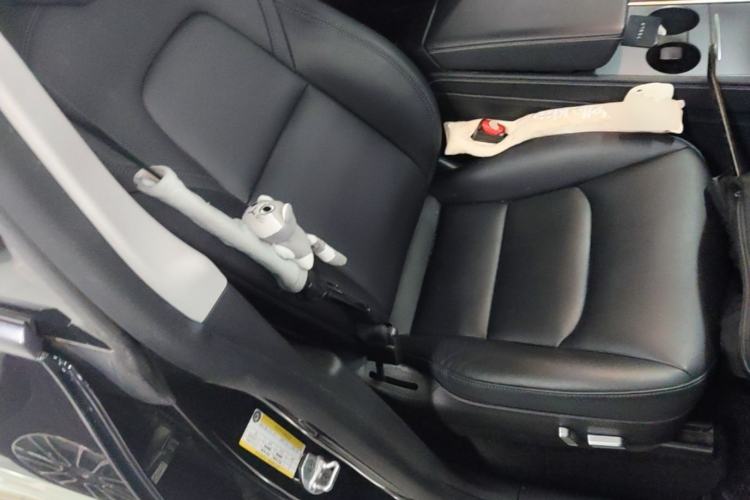 Used Tesla Model Y 2021 Standard Range Rear-Wheel Drive Version Right Front Seat
