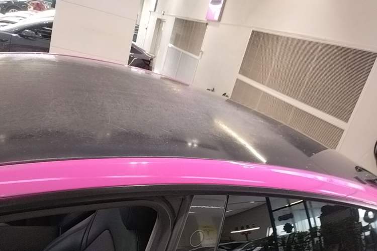Used Tesla Model Y 2021 Standard Range Rear-Wheel Drive Version Roof