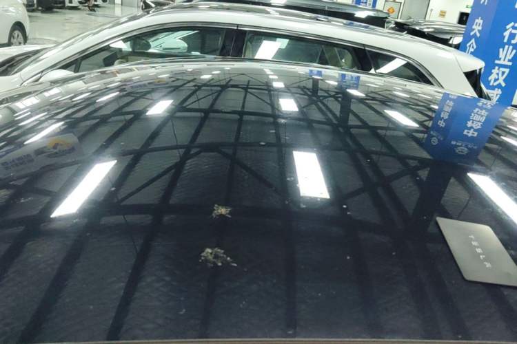 Used Tesla Model Y 2021 Standard Range Rear-Wheel Drive Version Roof