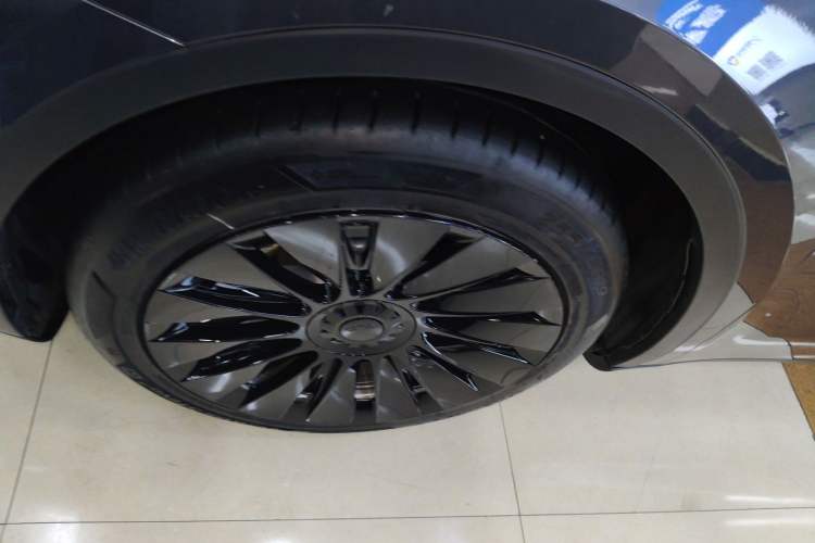 Used Tesla Model Y 2021 Standard Range Rear-Wheel Drive Version Exterior 4