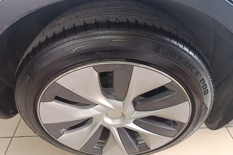 Used Tesla Model Y 2021 Standard Range Rear-Wheel Drive Version Exterior 5