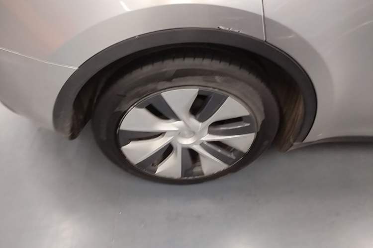 Used Tesla Model Y 2021 Standard Range Rear-Wheel Drive Version Exterior 5