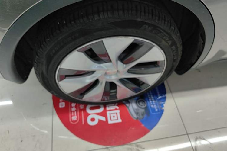 Used Tesla Model Y 2021 Standard Range Rear-Wheel Drive Version Exterior 5