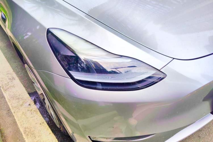 Used Tesla Model Y 2021 Standard Range Rear-Wheel Drive Version Exterior 6