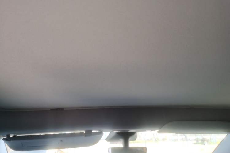 Used Tesla Model Y 2021 Long-Range All-Wheel-Drive Version Headliner