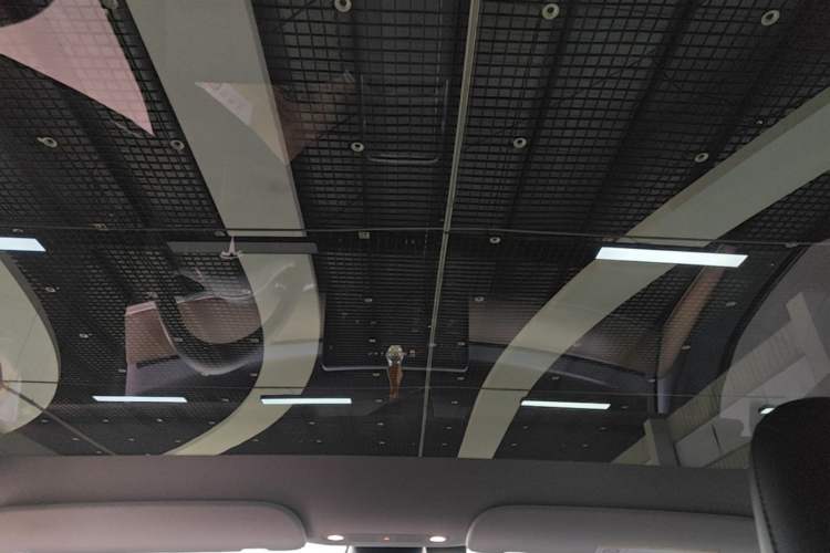 Used Tesla Model Y 2021 Standard Range Rear-Wheel Drive Version Headliner