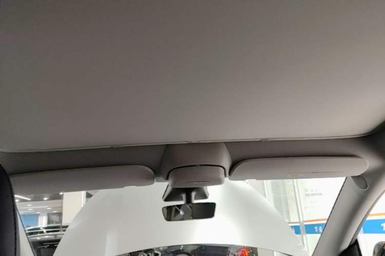 Used Tesla Model Y 2021 Long-Range All-Wheel-Drive Version 3D7 Headliner