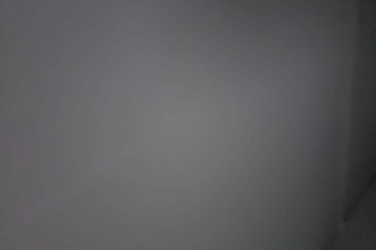Used Tesla Model Y 2021 Long-Range All-Wheel-Drive Version Headliner