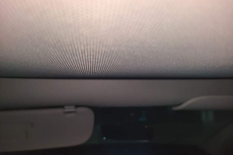 Used Tesla Model Y 2021 Standard Range Rear-Wheel Drive Version Headliner