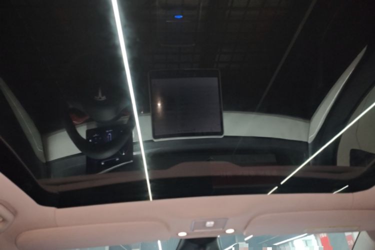 Used Tesla Model Y 2021 Standard Range Rear-Wheel Drive Version Headliner