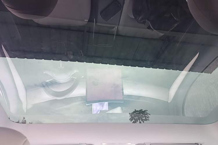 Used Tesla Model Y 2021 Standard Range Rear-Wheel Drive Version Headliner