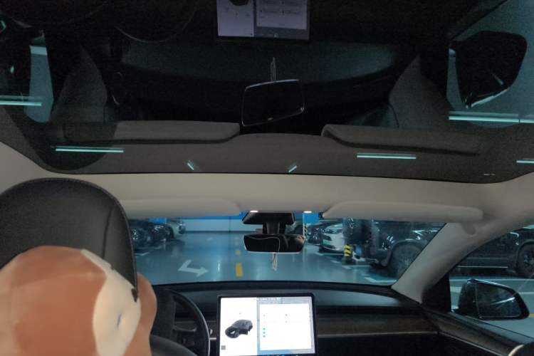 Used Tesla Model Y 2021 Long-Range All-Wheel-Drive Version Headliner