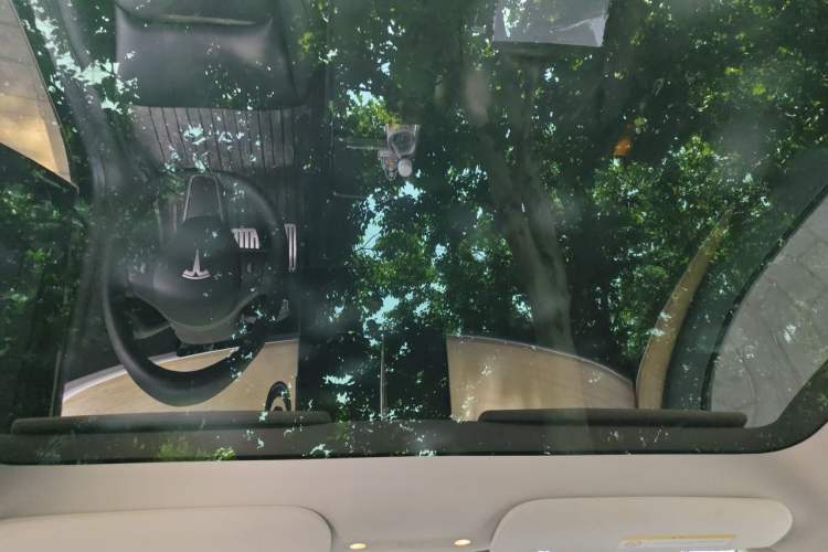 Used Tesla Model Y 2021 Performance High-Performance All-Wheel-Drive Version Headliner