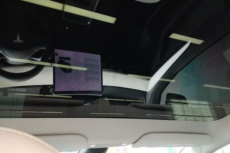 Used Tesla Model Y 2021 Standard Range Rear-Wheel Drive Version Headliner