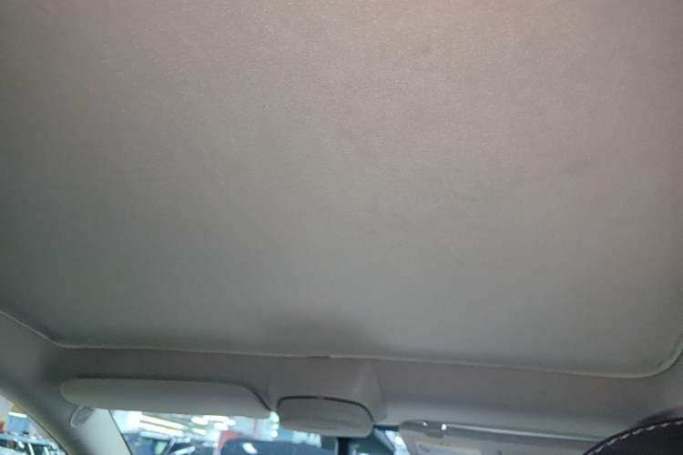 Used Tesla Model Y 2021 Standard Range Rear-Wheel Drive Version Headliner