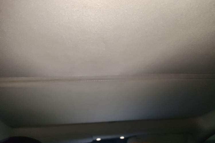 Used Tesla Model Y 2021 Long-Range All-Wheel-Drive Version Headliner