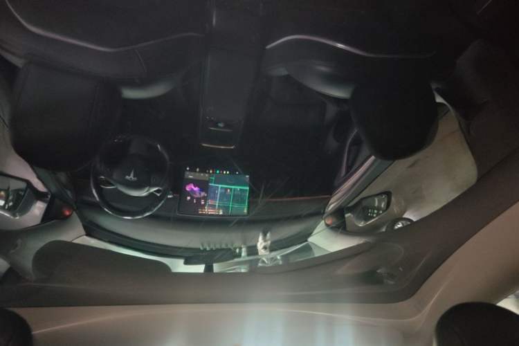 Used Tesla Model Y 2021 Standard Range Rear-Wheel Drive Version Headliner