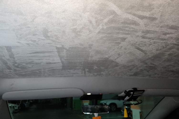 Used Tesla Model Y 2021 Standard Range Rear-Wheel Drive Version Headliner