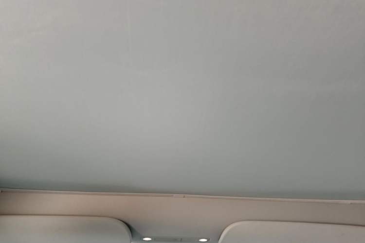 Used Tesla Model Y 2021 Standard Range Rear-Wheel Drive Version Headliner
