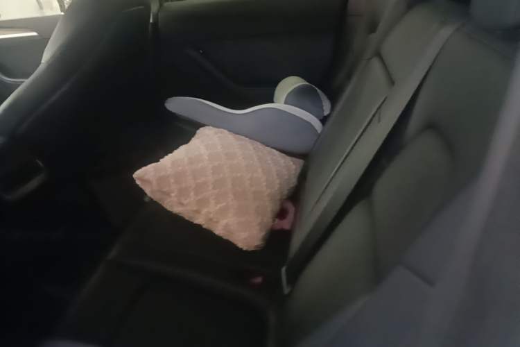 Used Tesla Model Y 2021 Long-Range All-Wheel-Drive Version Left Rear Seat
