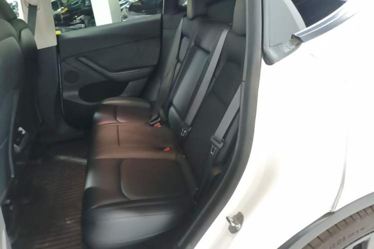 Used Tesla Model Y 2021 Performance High-Performance All-Wheel-Drive Version Left Rear Seat