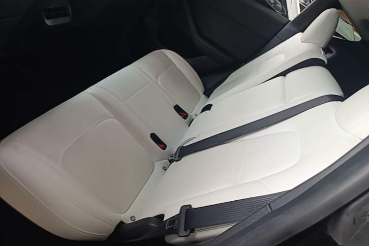 Used Tesla Model Y 2021 Standard Range Rear-Wheel Drive Version Left Rear Seat