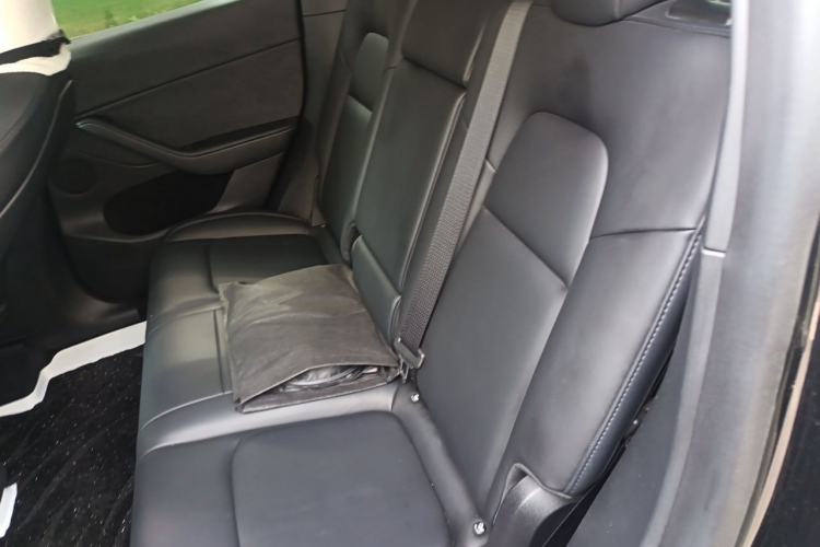 Used Tesla Model Y 2021 Standard Range Rear-Wheel Drive Version Left Rear Seat