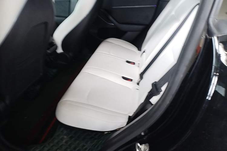 Used Tesla Model Y 2021 Standard Range Rear-Wheel Drive Version Left Rear Seat