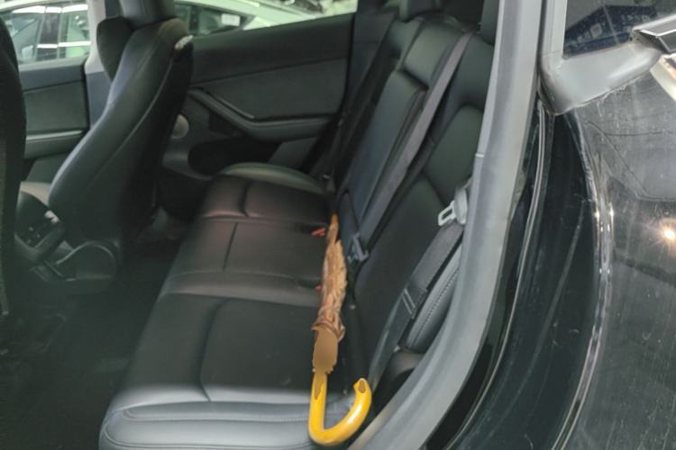 Used Tesla Model Y 2021 Standard Range Rear-Wheel Drive Version Left Rear Seat