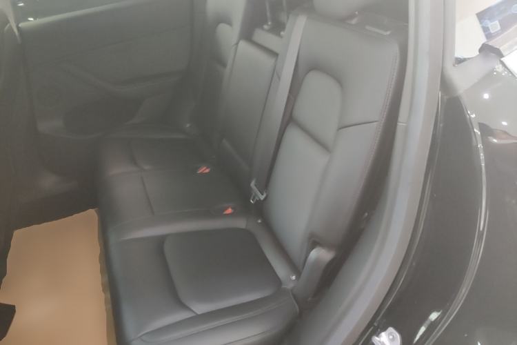 Used Tesla Model Y 2021 Revised Version 2 Long-Range All-Wheel-Drive Edition Left Rear Seat