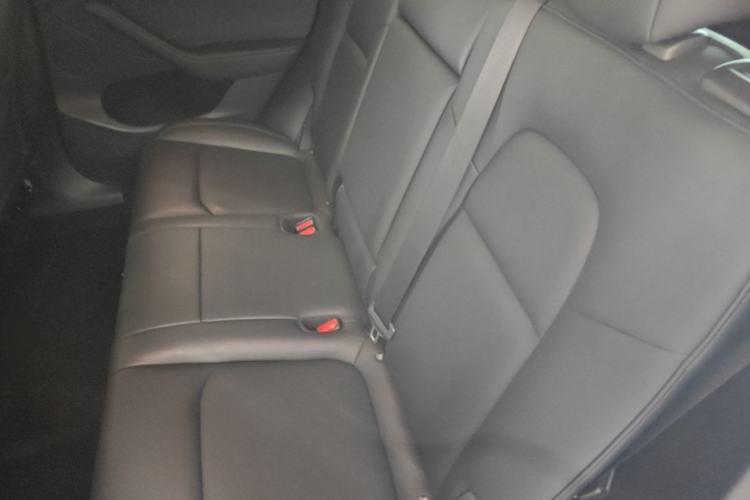 Used Tesla Model Y 2021 Standard Range Rear-Wheel Drive Version Left Rear Seat