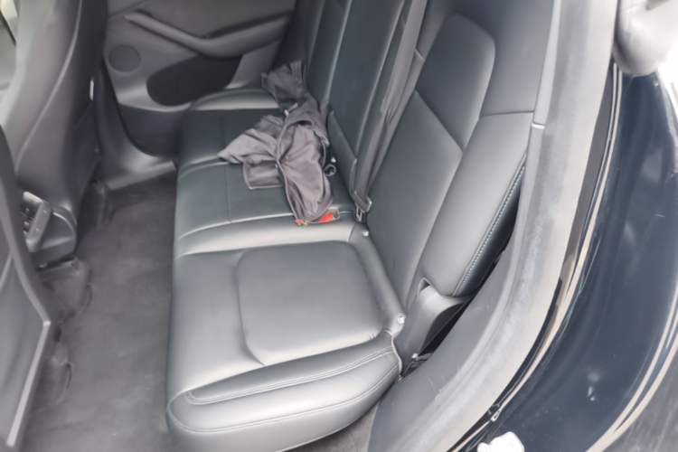 Used Tesla Model Y 2021 Performance High-Performance All-Wheel-Drive Version Left Rear Seat